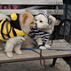 Illustration for article titled The Best Costumes From The Tompkins Square Dog Parade